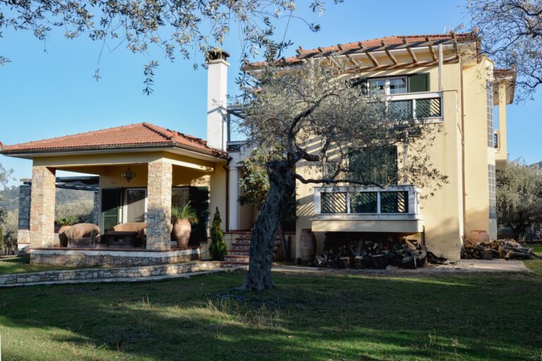 ΜΟΝΟΚΑΤΟΙΚΙΑ ΣΤΟ ΛΙΜΕΝΑ ΘΑΣΟΥ