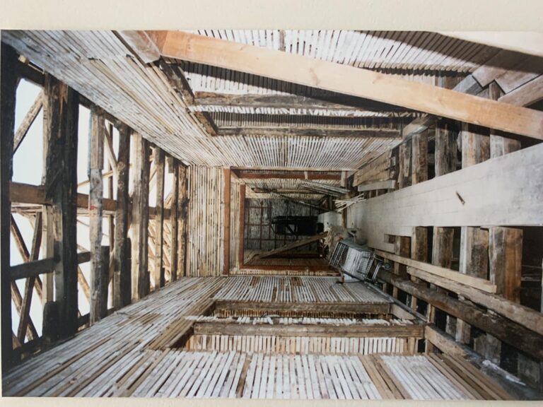 viber_image_2024-03-24_11-08-13-563